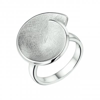 Zilveren ring