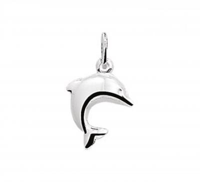 Zilveren  hanger - dolfijn